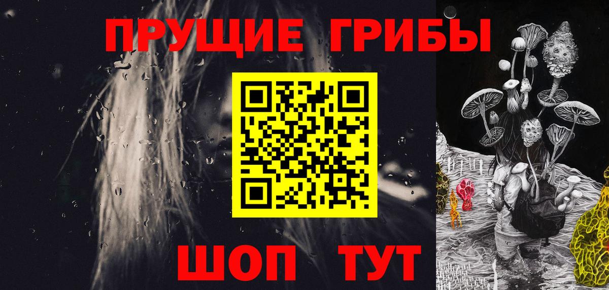 Галлюциногенные грибы GOLDEN TEACHER  Псилоцибиновые грибы прущие грибы  купить закладку  Химки  Вход с VPN 